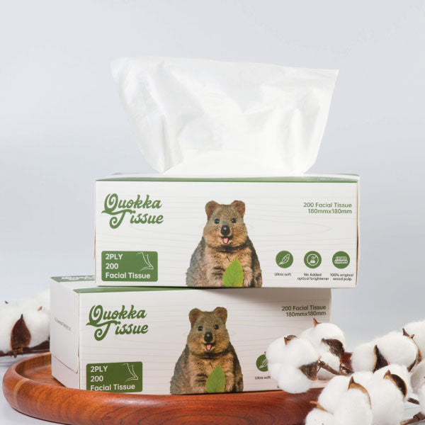 쿼카 티슈 2겹 200매입 Quokka Facial Tissues 2ply 200