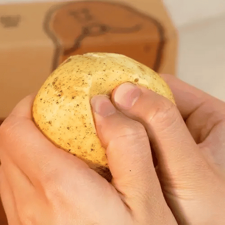 서울푸드 원주 감자빵 100g*3 SLF Potato Bread 100g*3